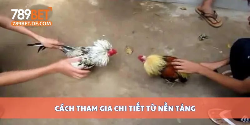 Cách tham gia chi tiết từ nền tảng