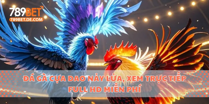 Đá Gà Cựa Dao Nảy Lửa, Xem Trực Tiếp Full Hd Miễn Phí 1 đá gà cựa dao