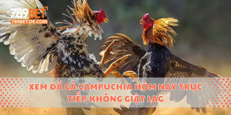 đá gà Campuchia